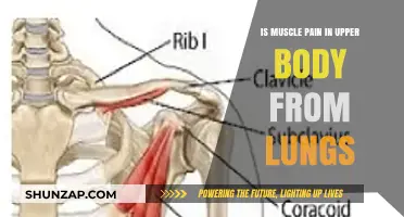 Upper Body Muscle Pain: Could Your Lungs Be the Cause?