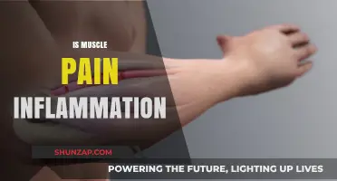 Muscle Pain and Inflammation: Understanding the Connection and Relief