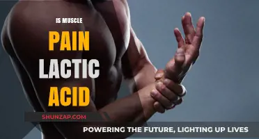 Debunking the Myth: Is Lactic Acid the Cause of Muscle Pain?