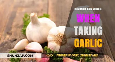 Is Muscle Pain a Normal Side Effect of Garlic Consumption?
