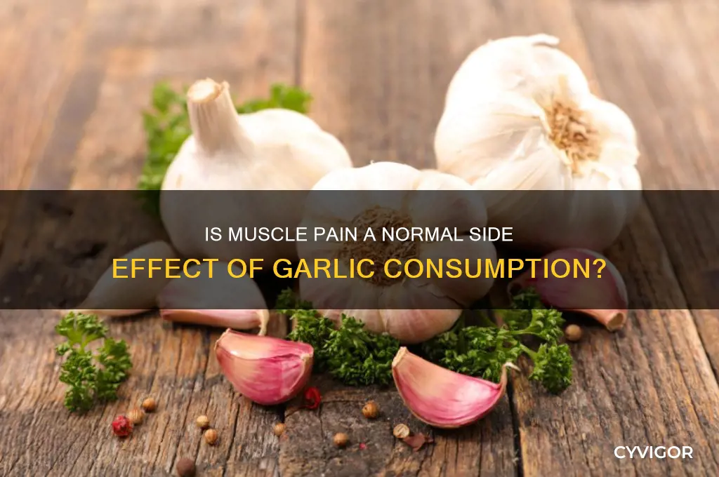 is muscle pain normal when taking garlic