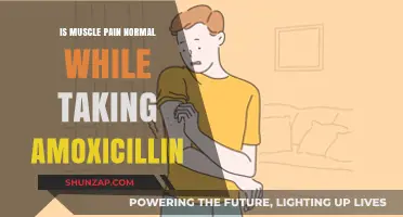 Is Muscle Pain a Common Side Effect of Amoxicillin Use?