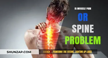 Muscle Pain vs. Spine Issues: Identifying the Root of Your Discomfort