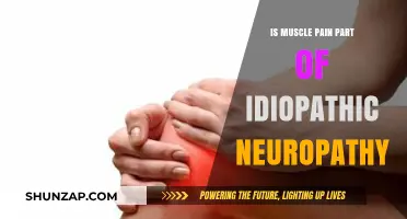 Muscle Pain and Idiopathic Neuropathy: Understanding the Connection
