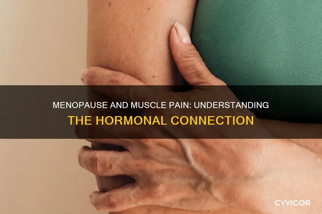 is muscle pain related to menopause