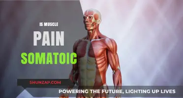 Is Muscle Pain Somatic? Understanding the Mind-Body Connection