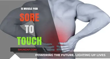 Is Muscle Pain Sore to Touch? Understanding Causes and Relief