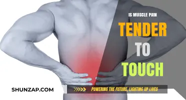 Is Muscle Pain Tender to Touch? Understanding Causes and Relief