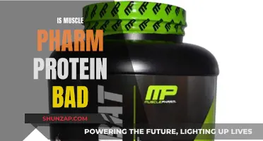Muscle Pharm Protein: Is It Harmful to Your Health?