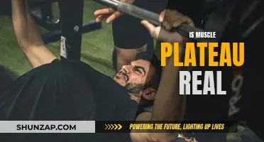Muscle Plateau: Fact or Fiction?