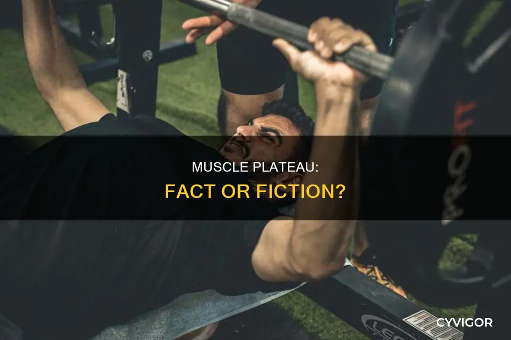 is muscle plateau real