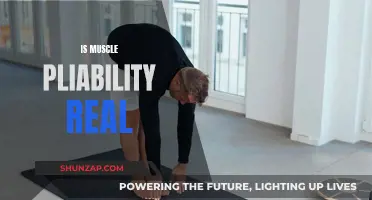 Muscle Pliability: Myth or Reality?