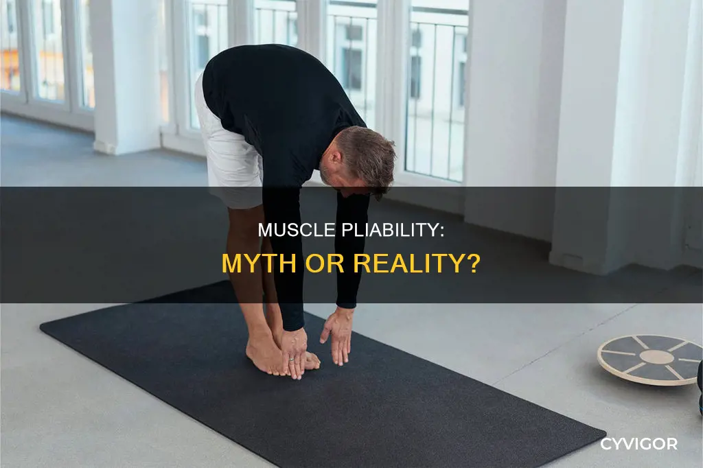 is muscle pliability real