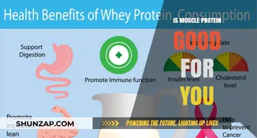 Is Muscle Protein Beneficial? Unlocking the Truth for Your Health