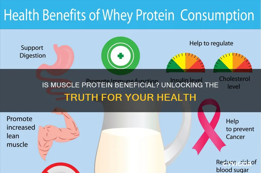 is muscle protein good for you