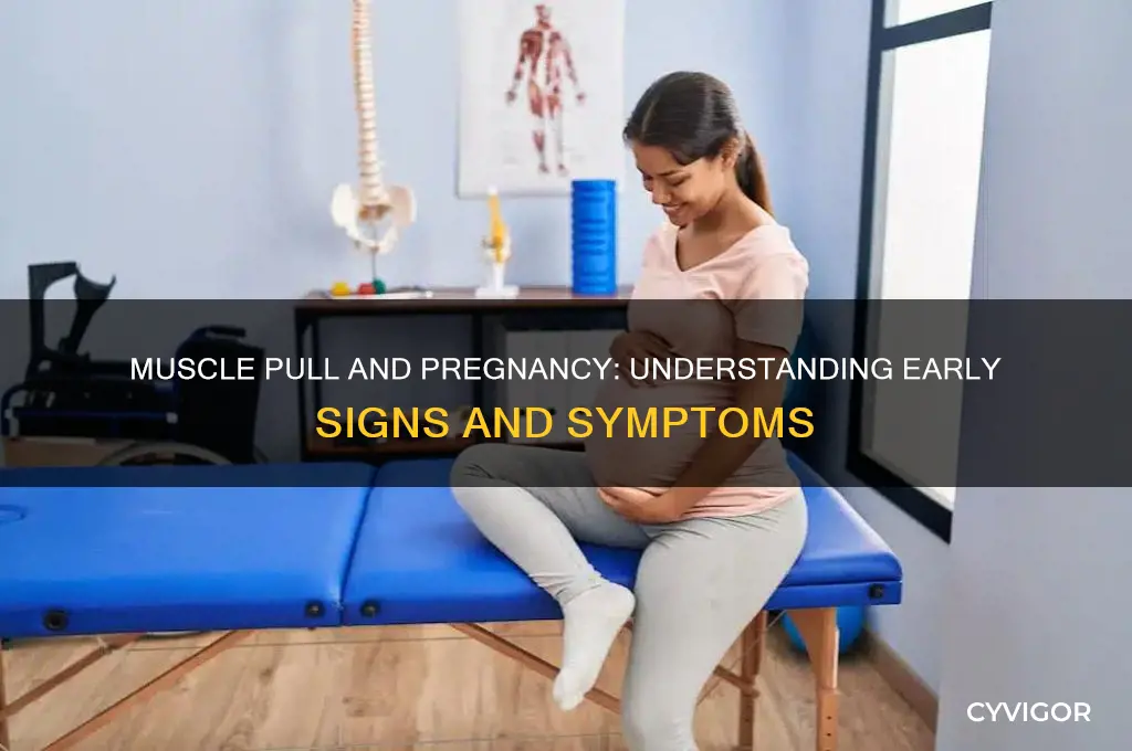 is muscle pull a sign of pregnancy