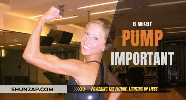Muscle Pump: Is It Important for Your Fitness Journey?