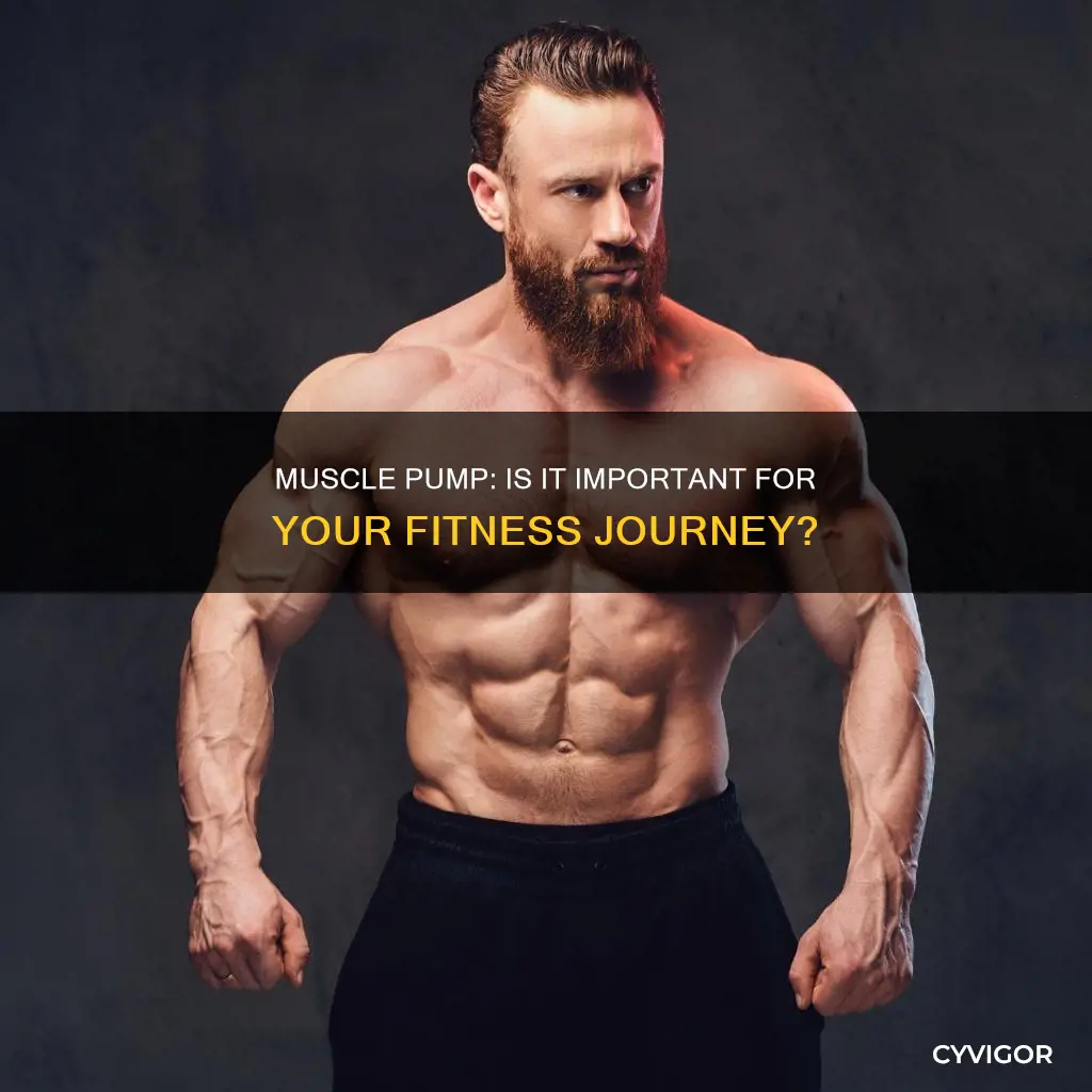 is muscle pump important