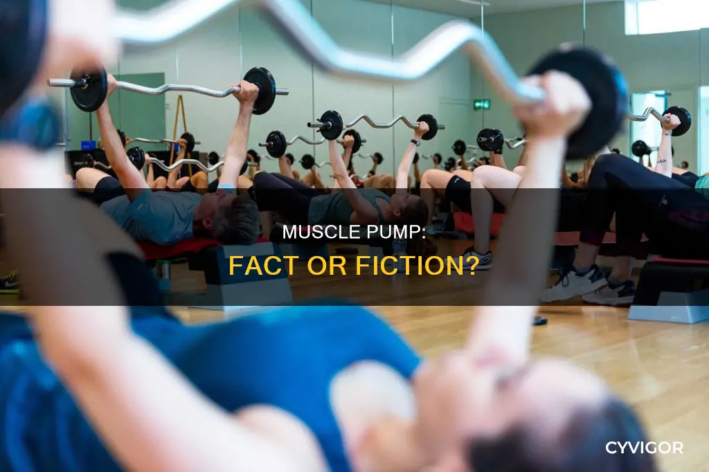 is muscle pump real