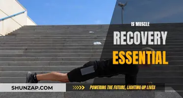 Muscle Recovery: Essential for Fitness and Overall Health
