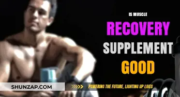 Are Muscle Recovery Supplements Effective for Faster Healing?
