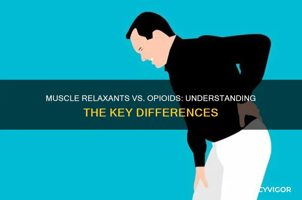 is muscle relaxants medications an opioid
