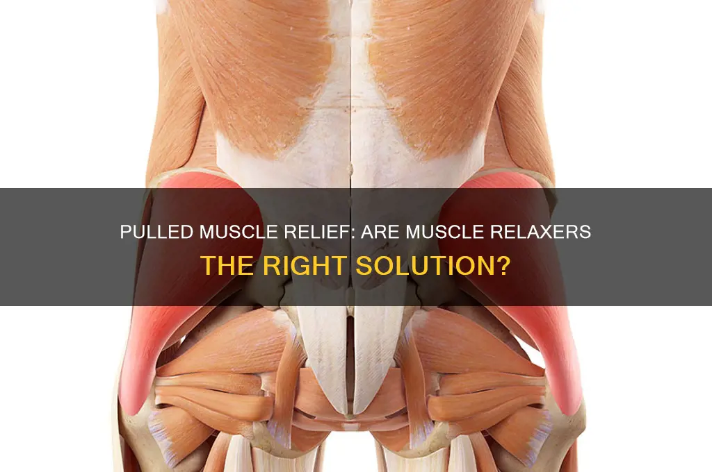 is muscle relaxer good for pulled muscle