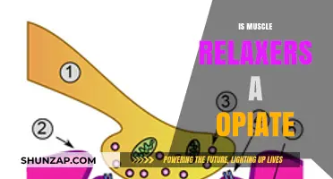 Muscle Relaxers vs. Opiates: Understanding the Key Differences and Uses