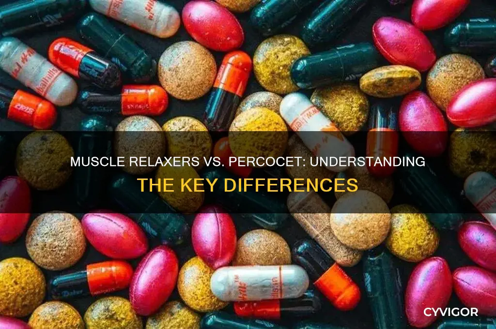 is muscle relaxers a percaset