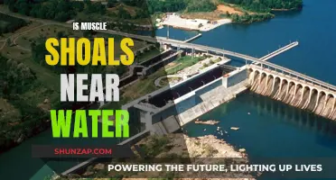 Muscle Shoals: A City by the Water's Edge