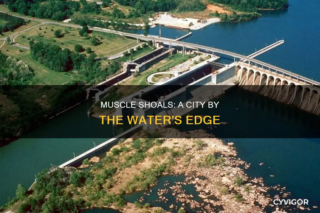 is muscle shoals near water