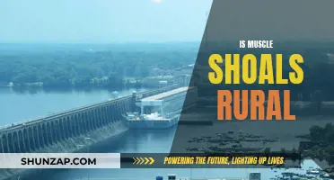 Muscle Shoals: A Rural Enclave With Urban Vibes