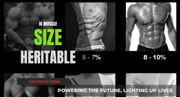 Muscle Size: Are Your Gains Written in Your Genes?