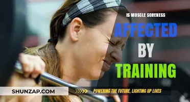 Exploring the Impact of Training on Muscle Soreness