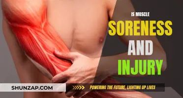 Muscle Soreness and Injury: What's the Real Damage?