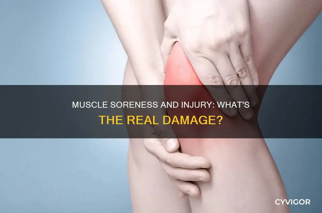 is muscle soreness and injury