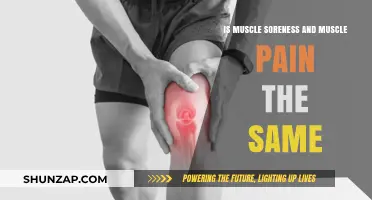 Muscle Soreness vs. Pain: Understanding the Key Differences