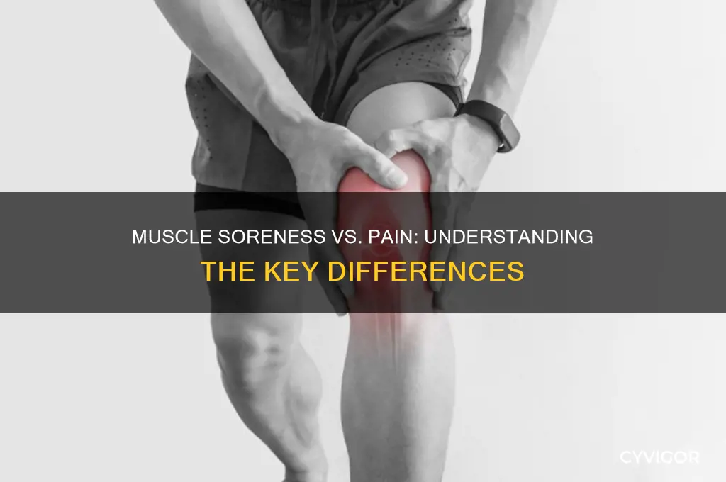 is muscle soreness and muscle pain the same