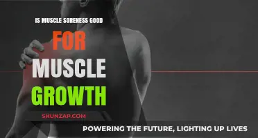 Muscle Soreness and Growth: Understanding the Role of DOMS