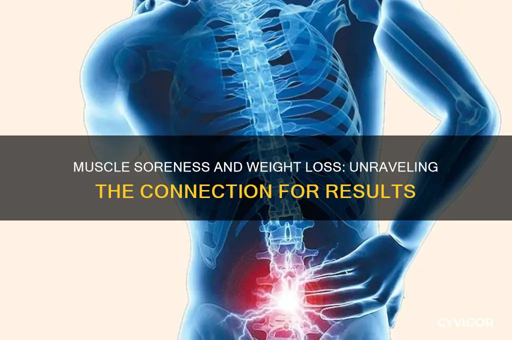 is muscle soreness good for weight loss