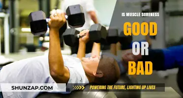 Muscle Soreness: Understanding Its Impact on Fitness and Recovery