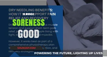 Is Muscle Soreness Beneficial for Strength and Recovery?