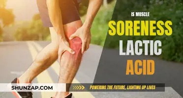 Muscle Soreness: Lactic Acid or Something Else?