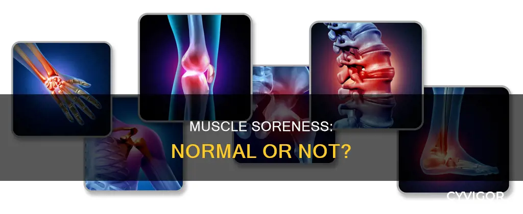 is muscle soreness normal