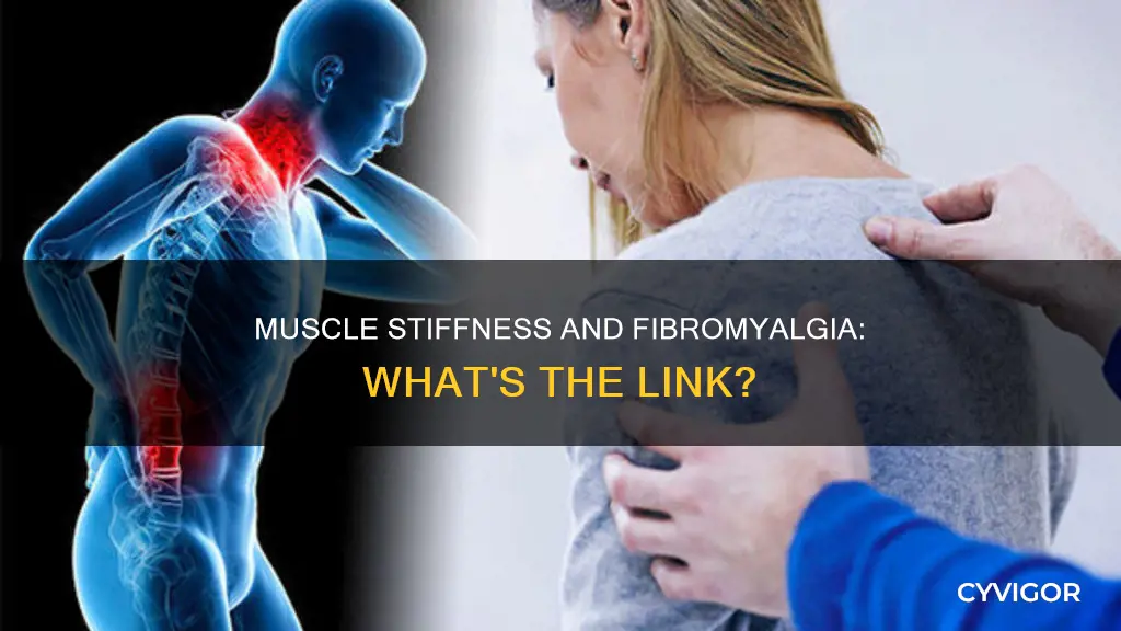 is muscle stiffness a fibromyalgia