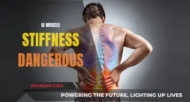 Muscle Stiffness: Is It Harmful or Helpful?