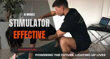 Muscle Stimulators: Effective or Just a Fad?