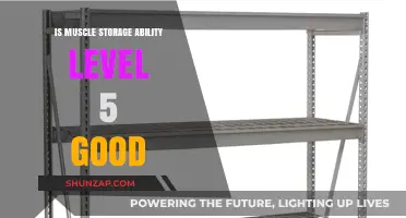 Is Level 5 Muscle Storage Ability Optimal for Fitness Goals?
