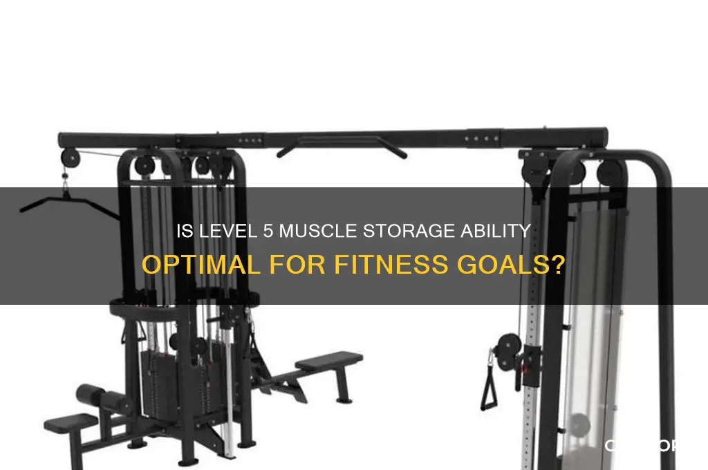 is muscle storage ability level 5 good
