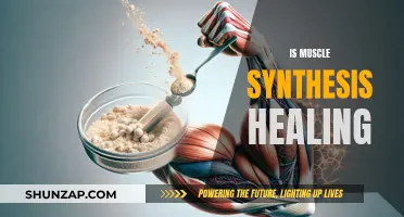 Muscle Synthesis: Healing Power of Building Strength
